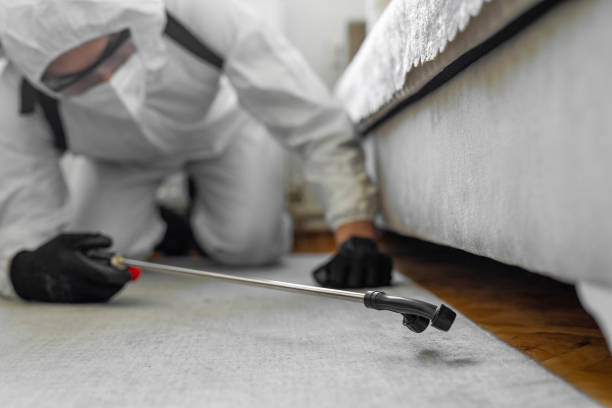 Professional Pest Control technician working in Covington, VA