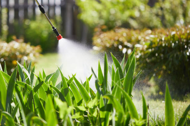 24/7 Emergency Pest Control experts in Covington, VA
