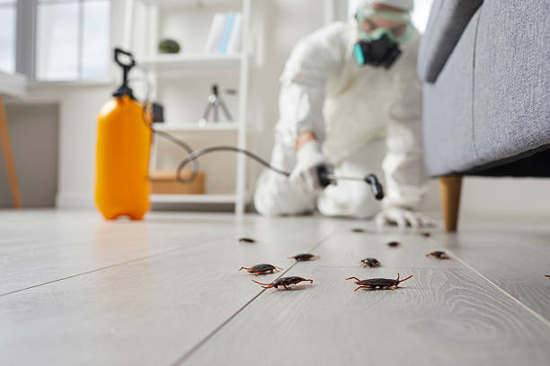 Affordable Pest Control solutions in Covington, VA