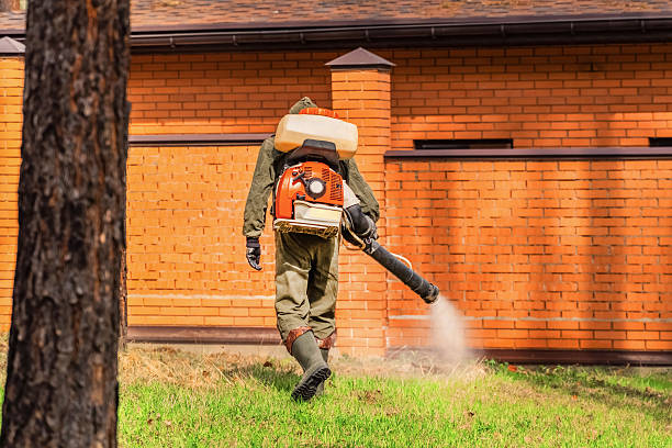 Top rated local Pest Control specialists in Covington, VA